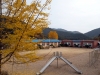 금강송면 삼근초등학교 왕피분교장 ‘역사속으로’ 금강송면 삼근초등학교 왕피분교장 ‘역사속으로’