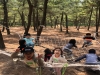울진 방과후 놀이유치원 사업 선정유치원< 숲 밧줄놀이 공동체험> 실시