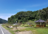 울진군,“매화나무 가로수 특화거리”조성