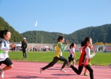 제5회 울진교육장·울진군체육회장기 학생체육대회 개최