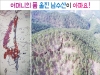 울진의 명산 '남수산'을 원형대로 보존하자 울진의 명산 '남수산'을 원형대로 보존하자