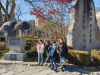 삼근초 한반도의 보물을 찾아 떠나는 역사문화탐방