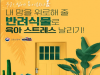 내 맘을 위로해 줄 반려식물로 스트레스 날리기