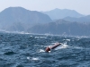울진해경, 울진군 사동 동방 3km 해상 전복선박 구조