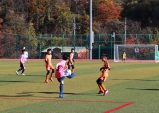 울진서 유소년 축구 꿈나무들의 열전 펼쳐진다
