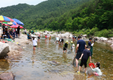 6월 13~14일 굴구지 산촌마을서 제19회 왕피천피래미축제 개최