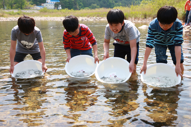 2014년 은어방류 사진.jpg
