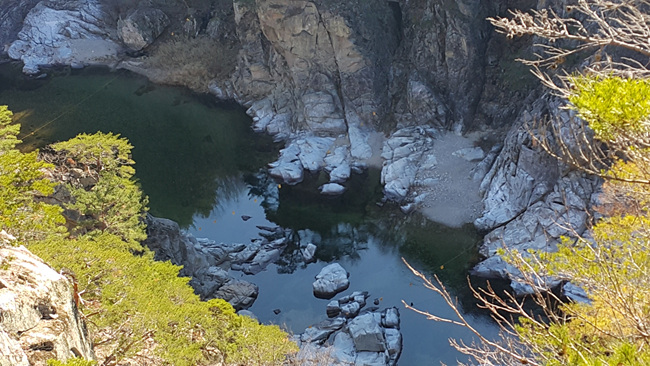 20161203_125106.jpg