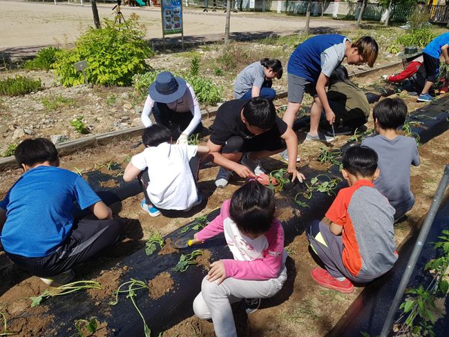 인성텃밭가꾸기3(온정초).jpg