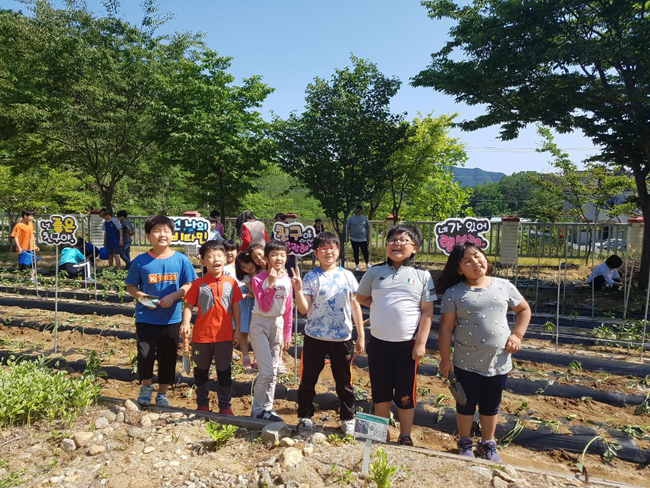 인성텃밭가꾸기2(온정초).jpg