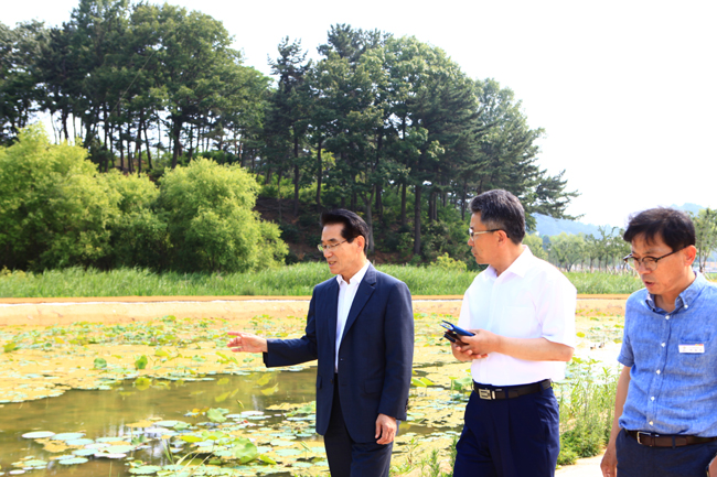 임광원 울진군수 연호정 연꽃복원사업장 등 현장점검 사진4.jpg