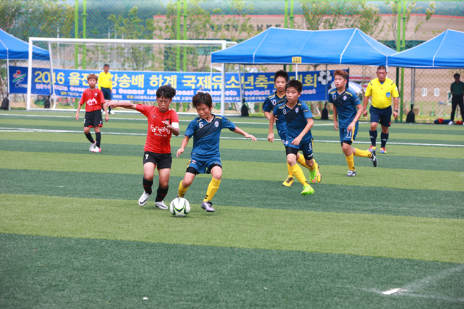 2017 울진금강송배 하계 국제유소년 축구대회 사진2.JPG