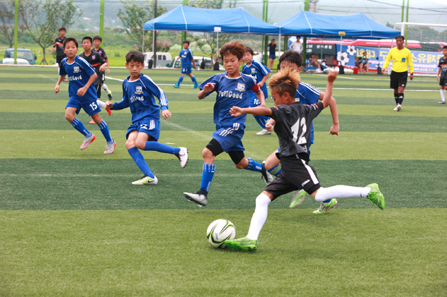 2017 울진금강송배 하계 국제유소년 축구대회 사진1.JPG