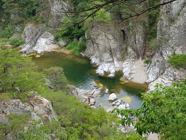 20170702_143343.jpg