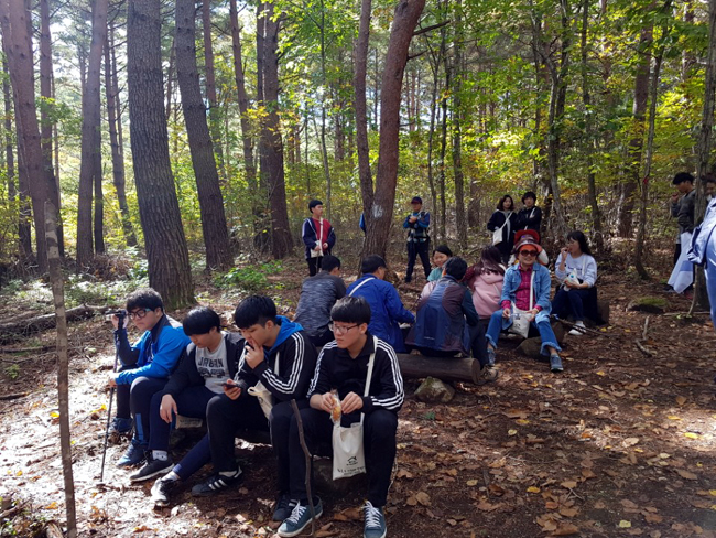 울진군청소년상담복지센터 학교폭력예방 금강송숲길 힐링캠프 사진2.jpg