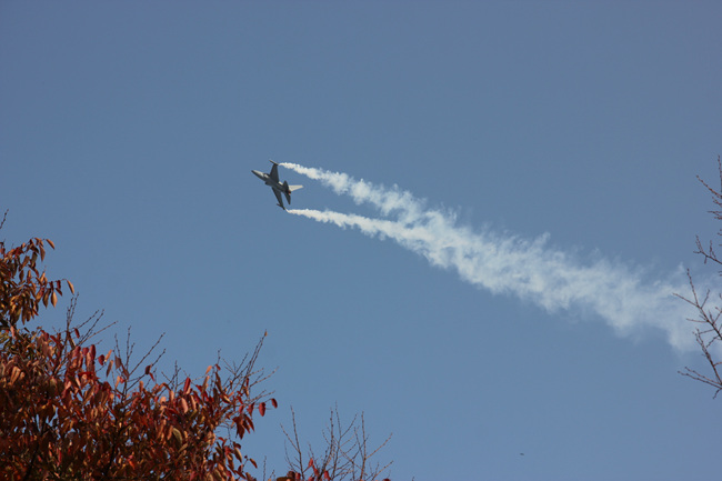 IMG_6490.jpg