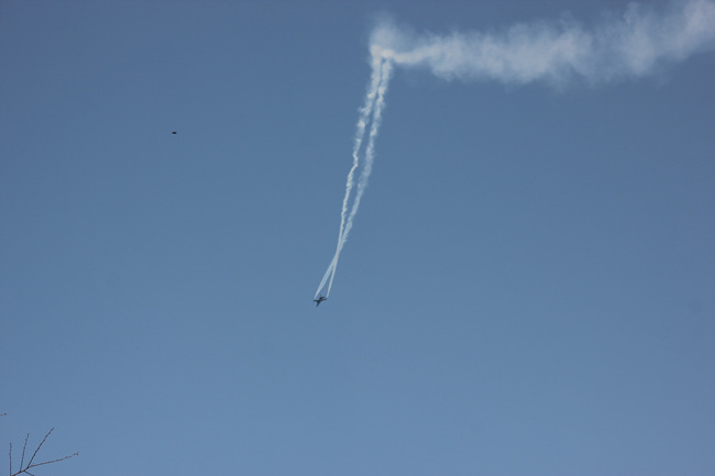 IMG_6498.jpg