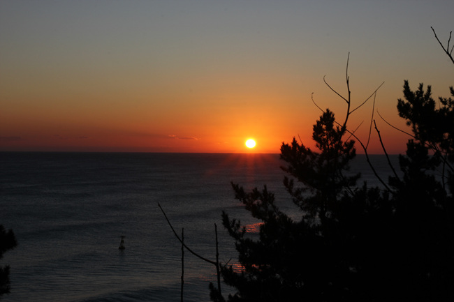 IMG_7251.jpg