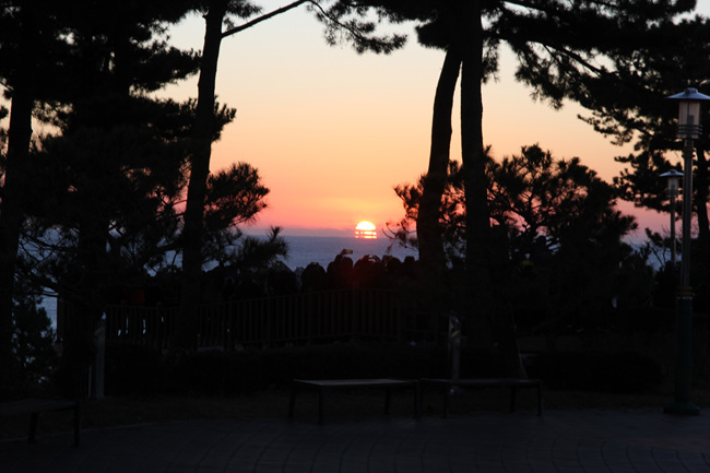 IMG_7237.jpg