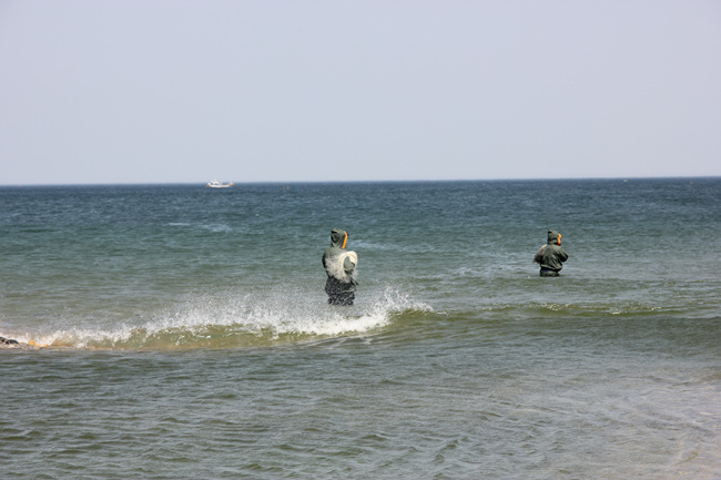 IMG_0852.jpg