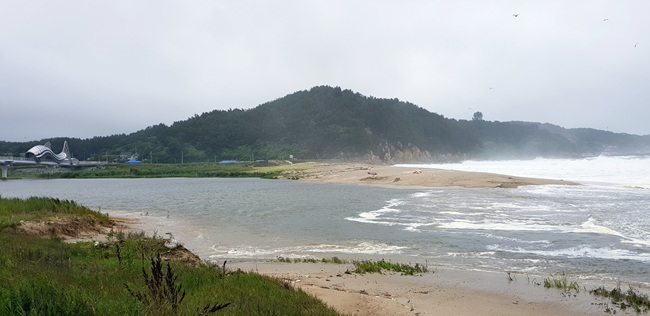 갈매기 (34).jpg