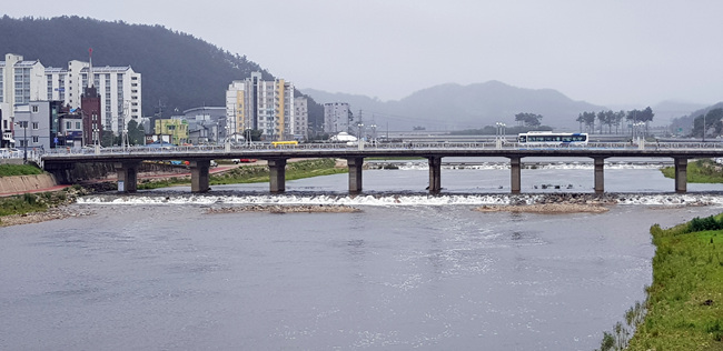 갈매기 (40).jpg