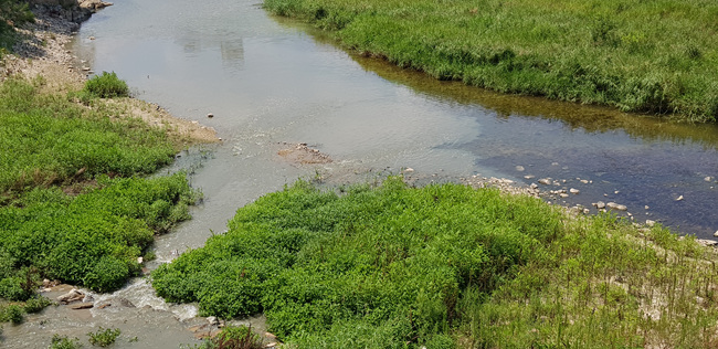 20180726_120554.jpg
