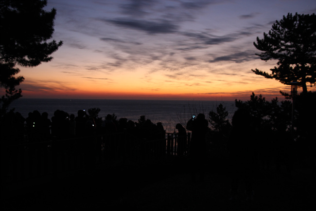 IMG_6947.jpg