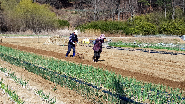 밭갈이 (9).jpg