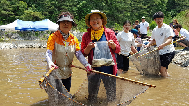 피래미 (92).jpg