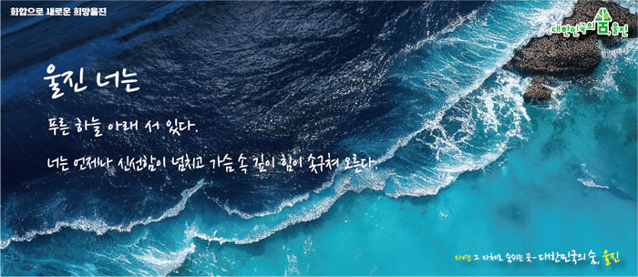 광고시안(배너).jpg