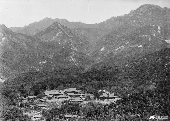 050.jpg