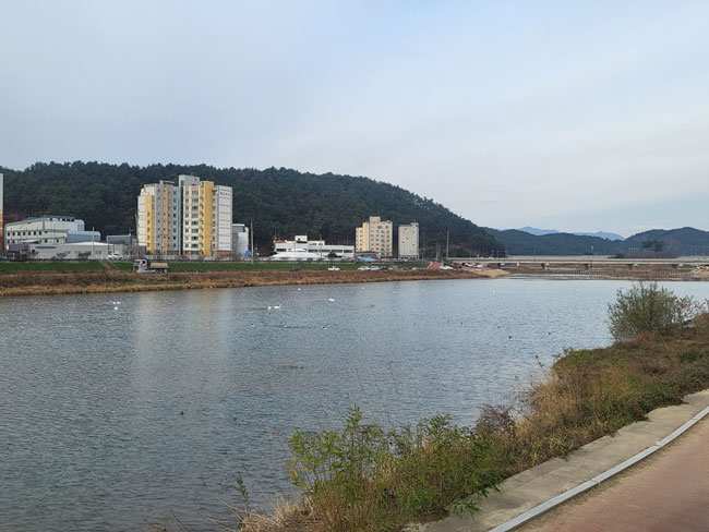 225.jpg