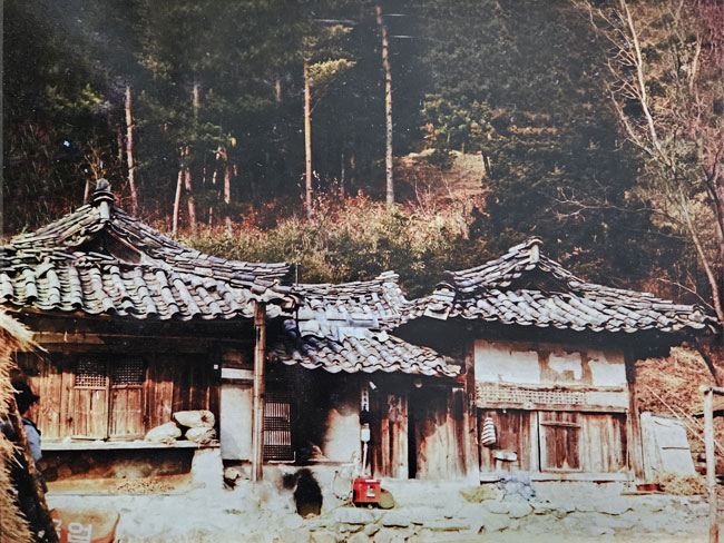 149.jpg