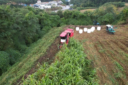 울진군, 조사료 수확 지원으로 축산농가 경영비 절감 앞장