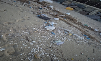 쓰레기로 뒤덮인 후정해수욕장