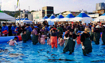 [포토뉴스] 가자 죽변항, 먹자 수산물 죽변항 수산물 축제