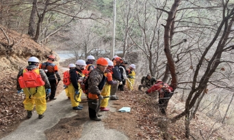 울진군, 소나무재선충병 확산 차단 총력