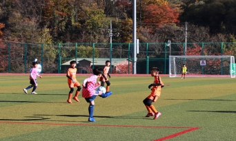 울진서 유소년 축구 꿈나무들의 열전 펼쳐진다